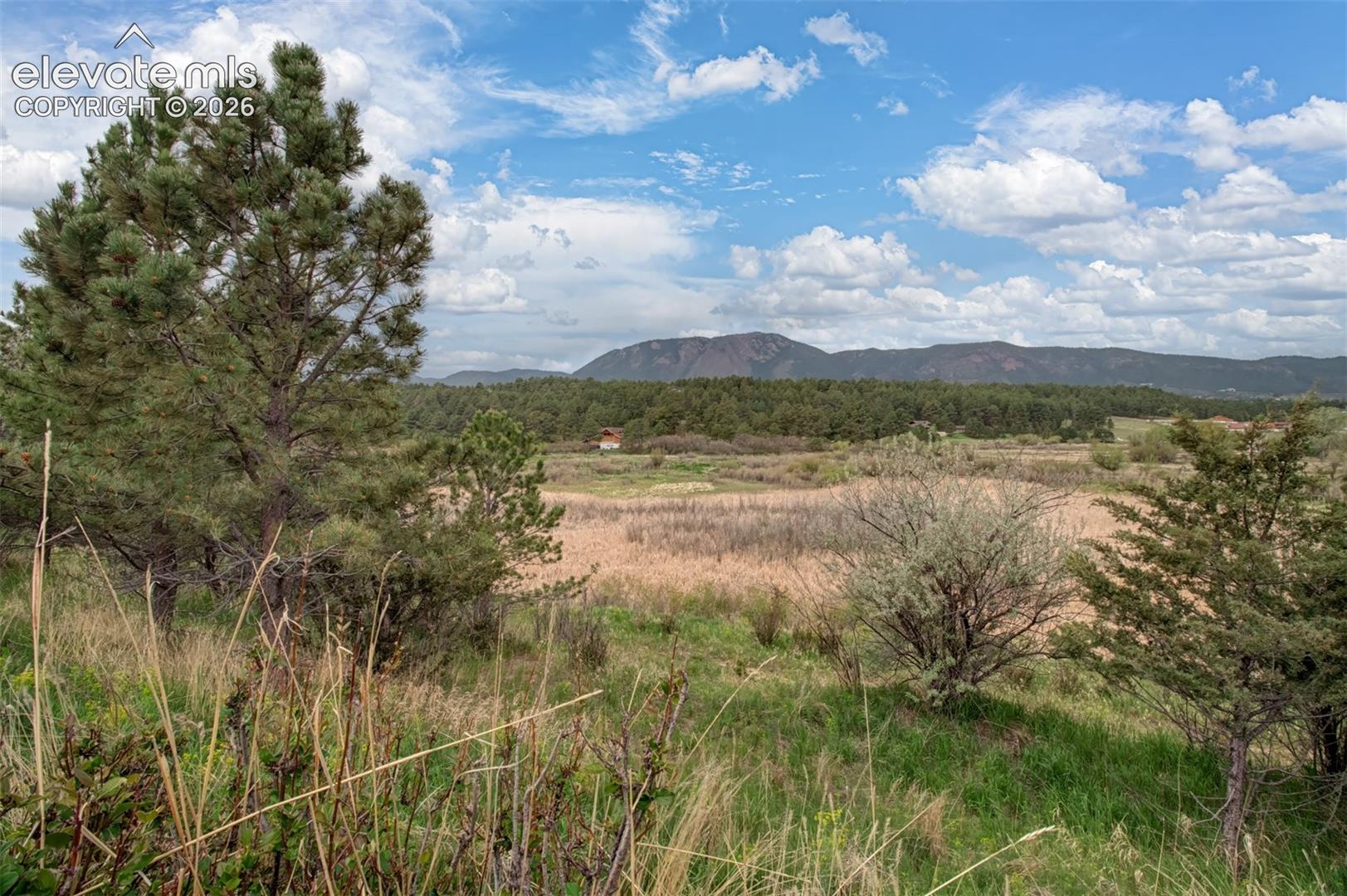 367 Raspberry Ln, Monument, CO 80132