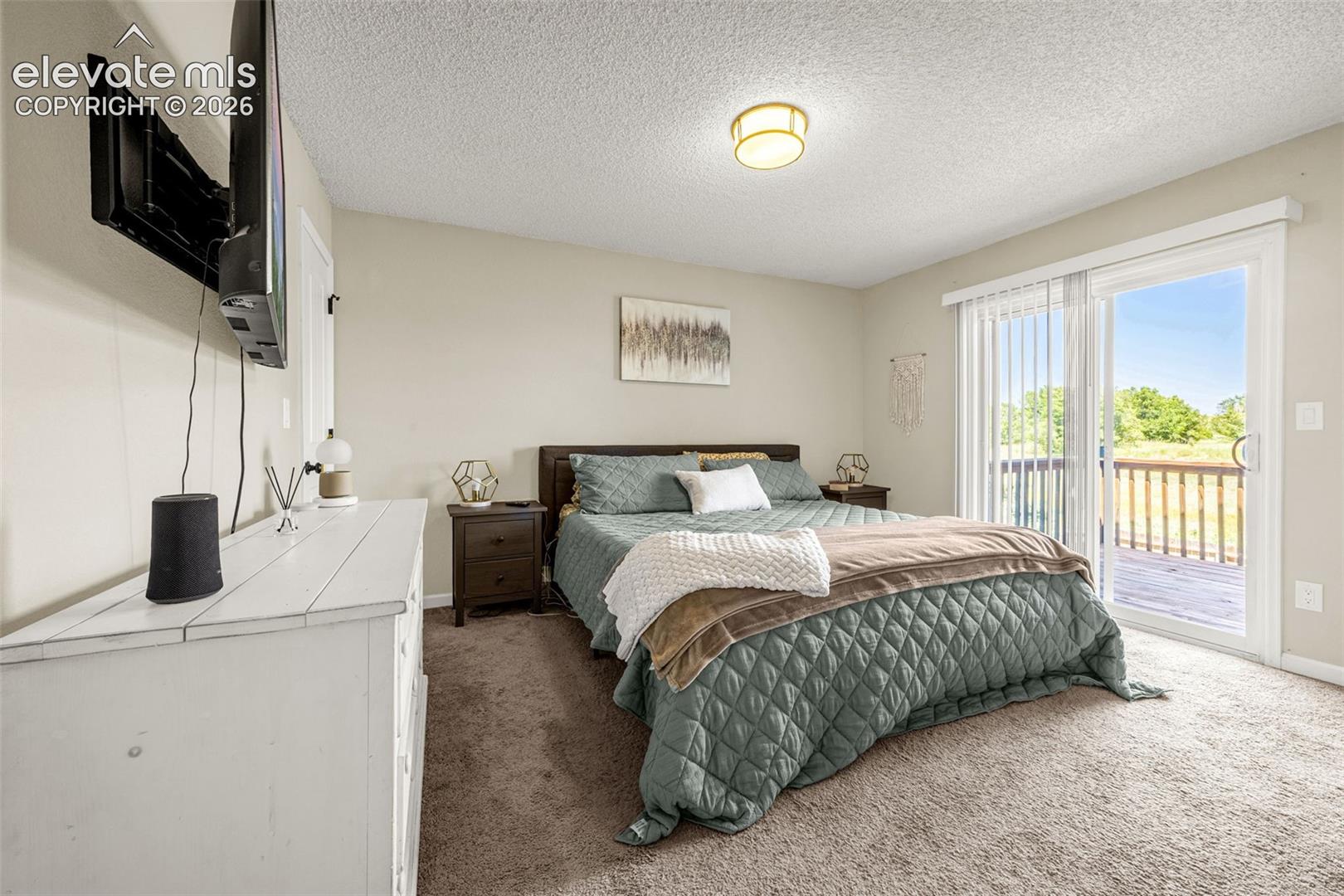 Room featuring neutral-toned carpeting, textured ceiling, central flush-mount lighting, and glass sliding door providing exterior access