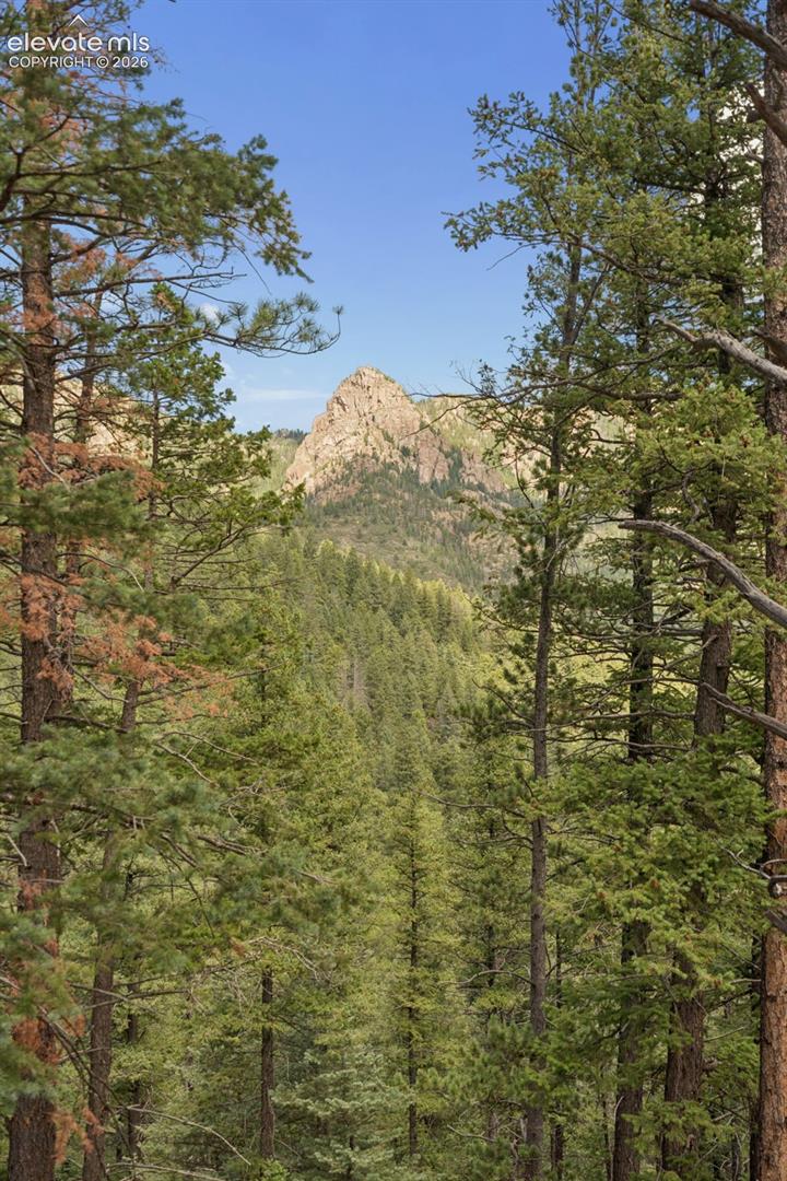 Photo 45 of 5110 Little Turkey Creek Road, Colorado Springs