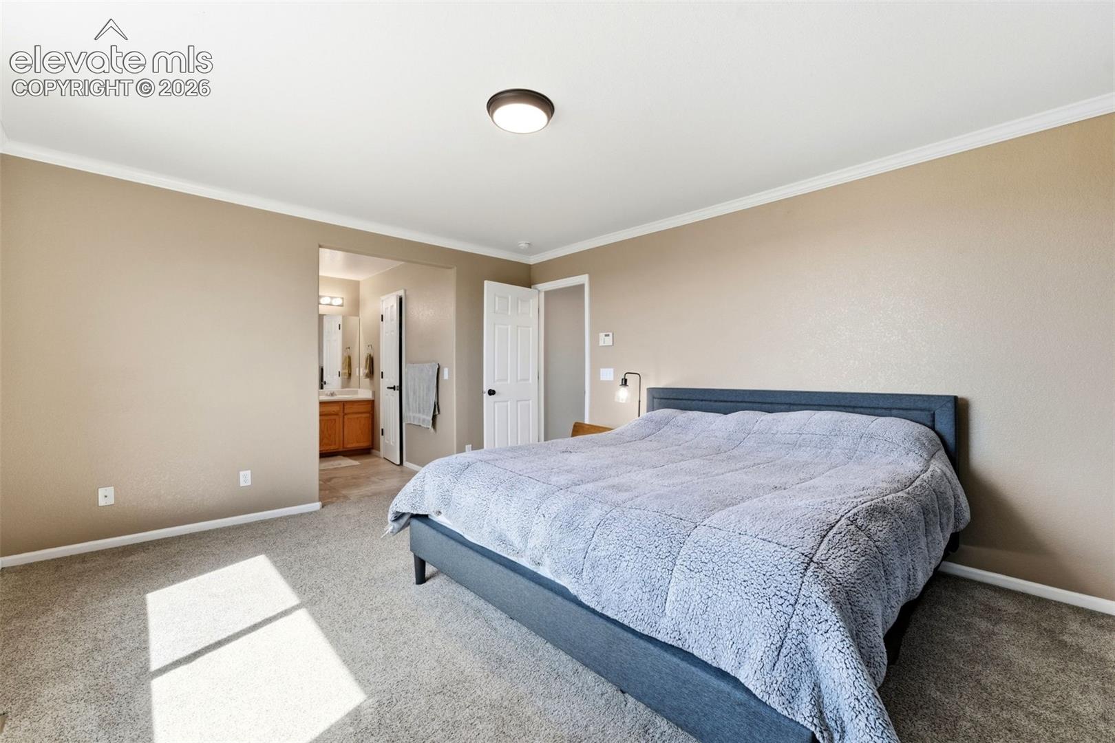 Photo 37 of 7105 Amber Ridge Drive, Colorado Springs