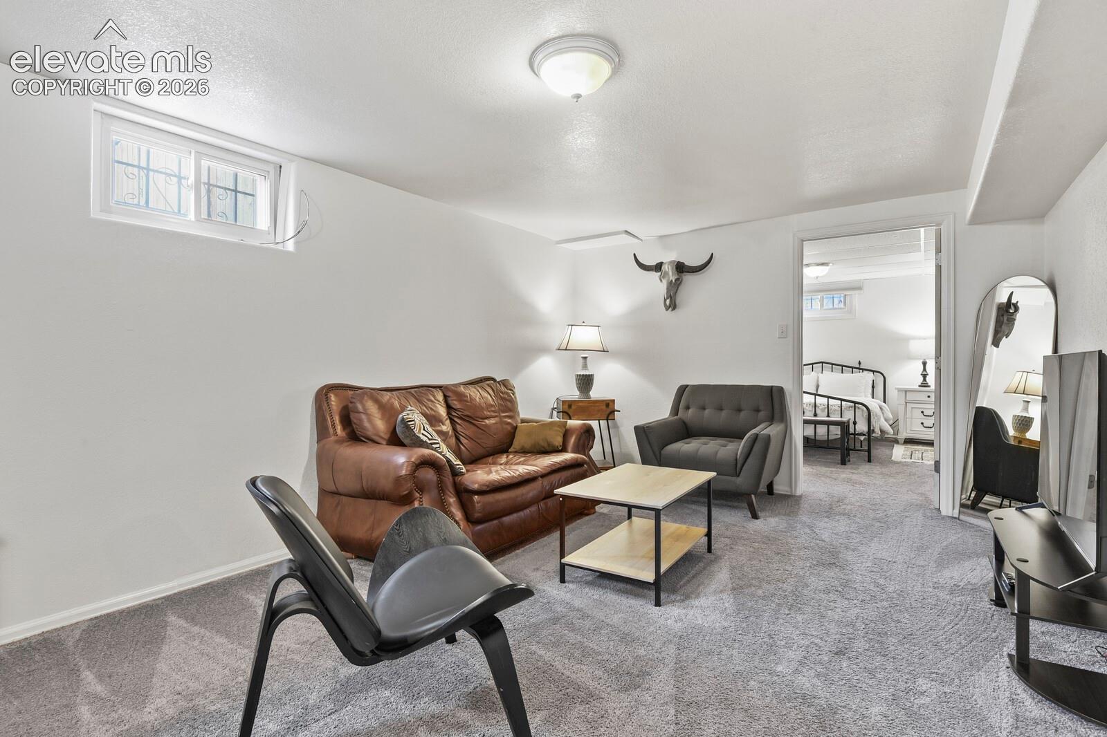 TV area in Family Room, looking towards second basement bedroom.