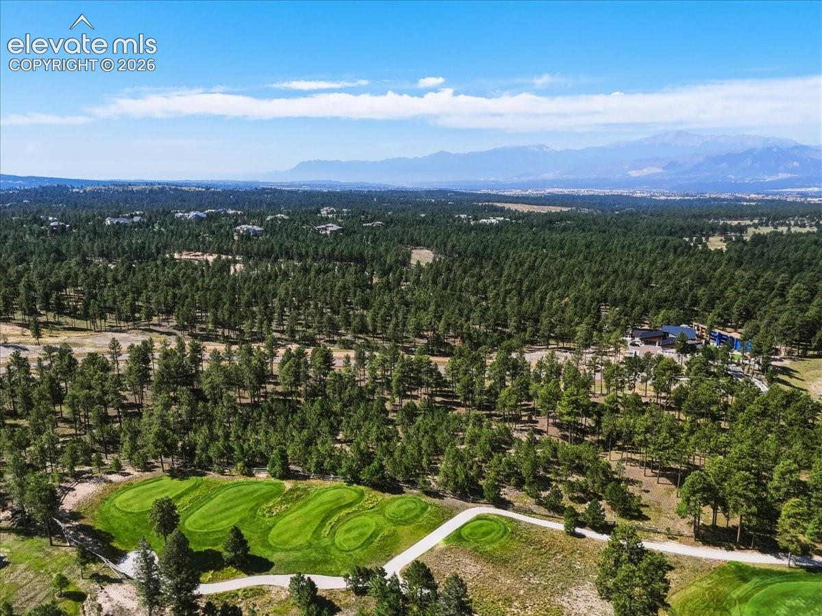 Photo 12 of 14931 Quartz Creek Drive, Colorado Springs