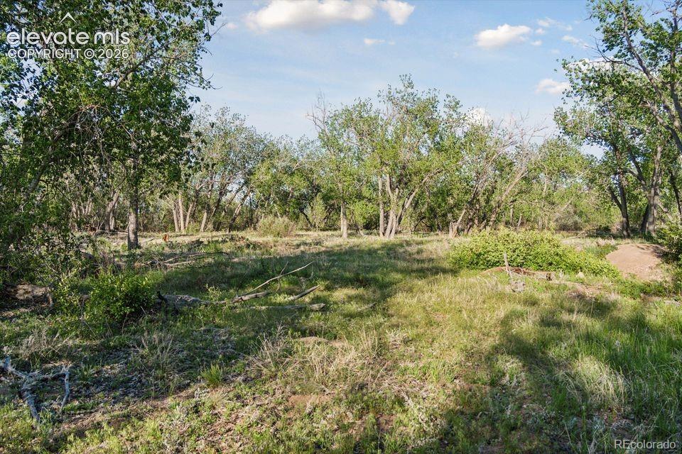 Secluded Cottonwood Grove Within the 165-Acre Property