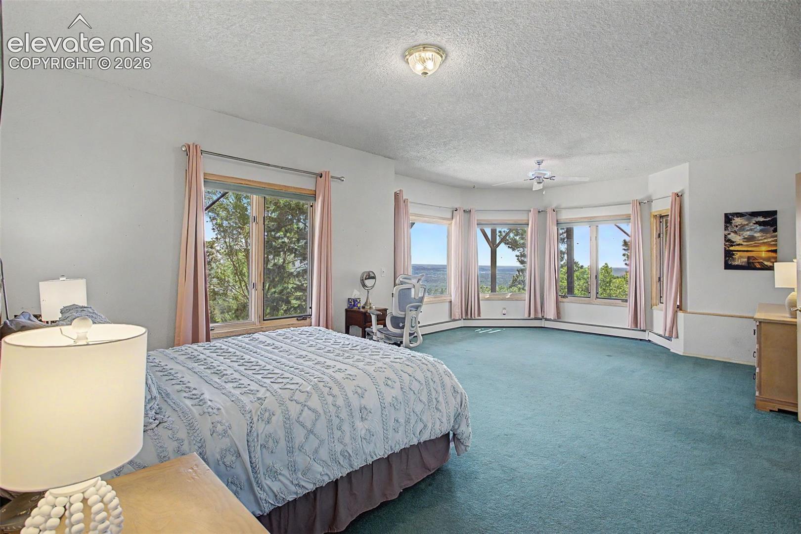 Photo 26 of 3111 Constellation Drive, Colorado Springs
