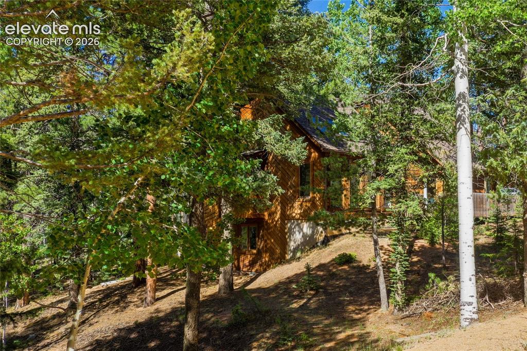 886 Cottonwood Lake Dr, Divide, CO 80814