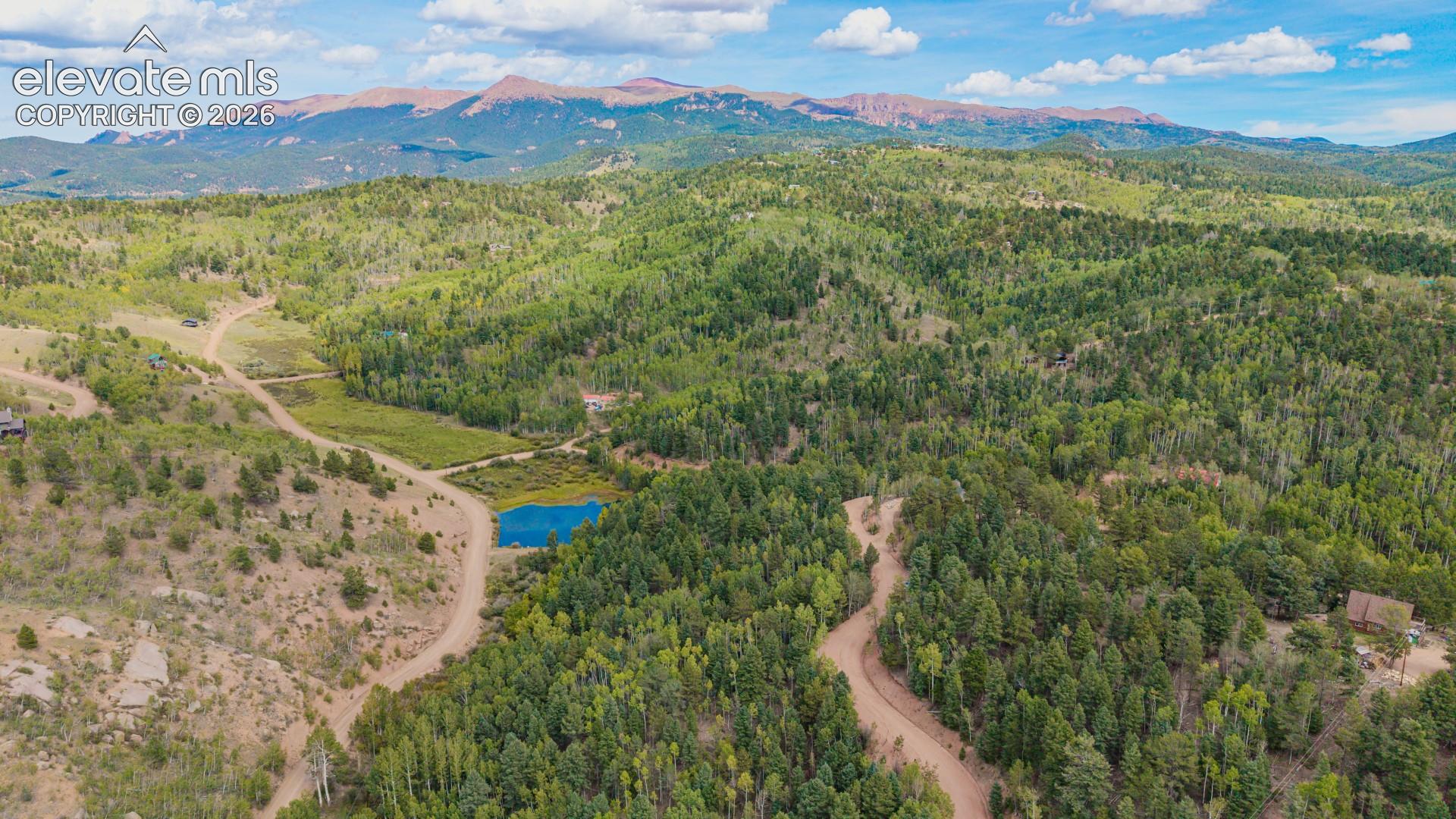 Photo 8 of 1034 Little Topsey Drive, Cripple Creek