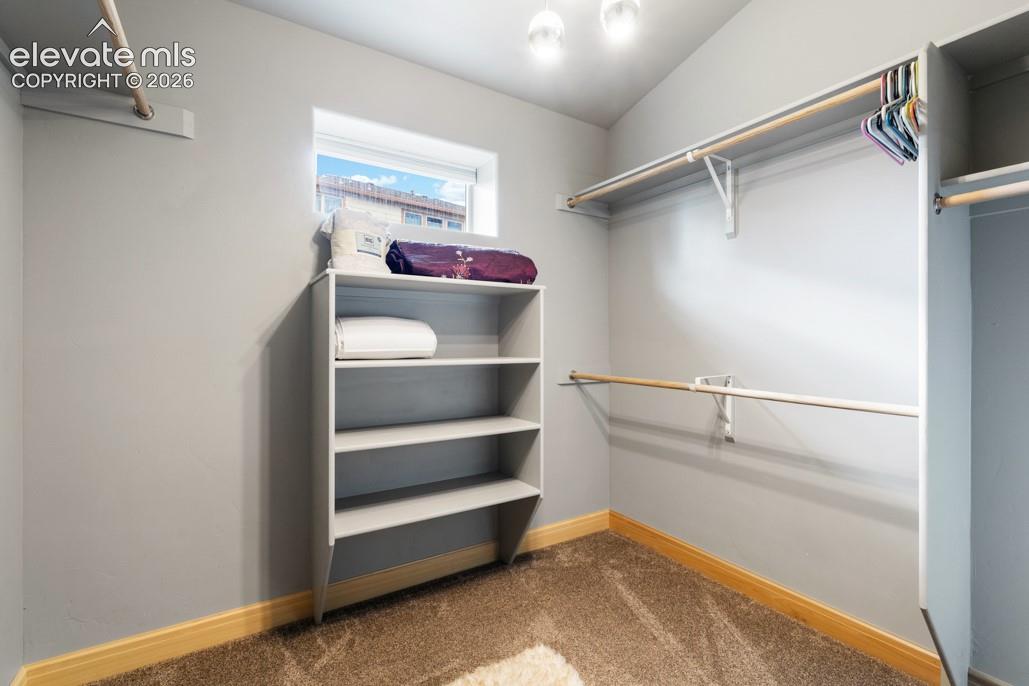 Built-in closet shelving, multiple hanging rods, recessed window, overhead lighting, and carpeted flooring