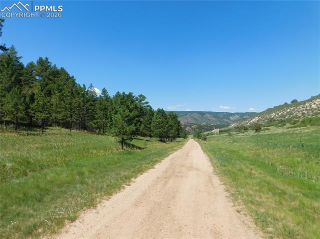 Photo 7 of 4668 Comanche Drive, Larkspur