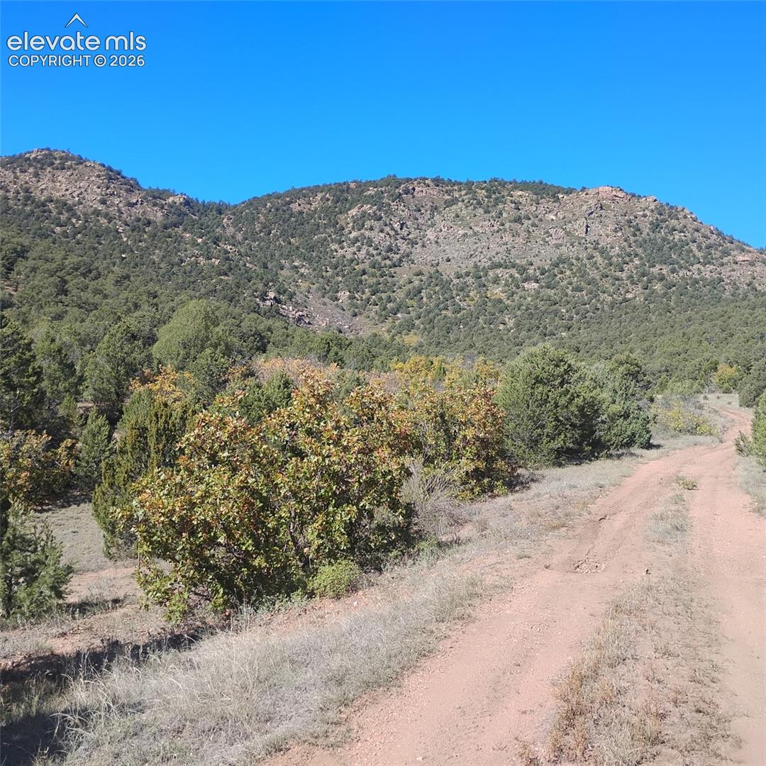 Expansive acreage featuring rugged mountain terrain, native shrubs, mature trees, and a dirt access path