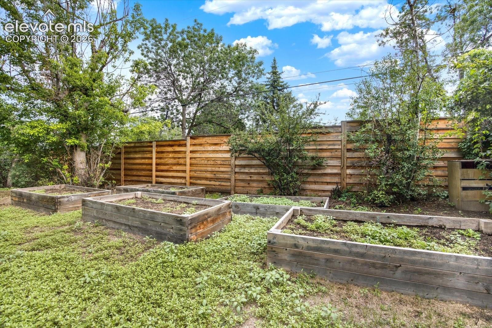 Garden beds.