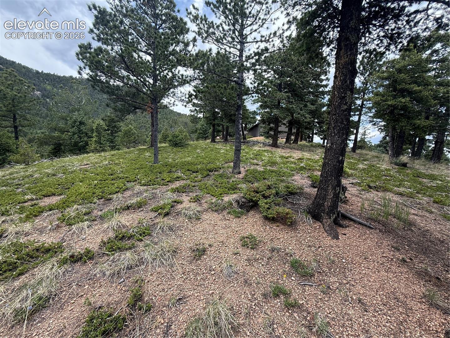 Build site
