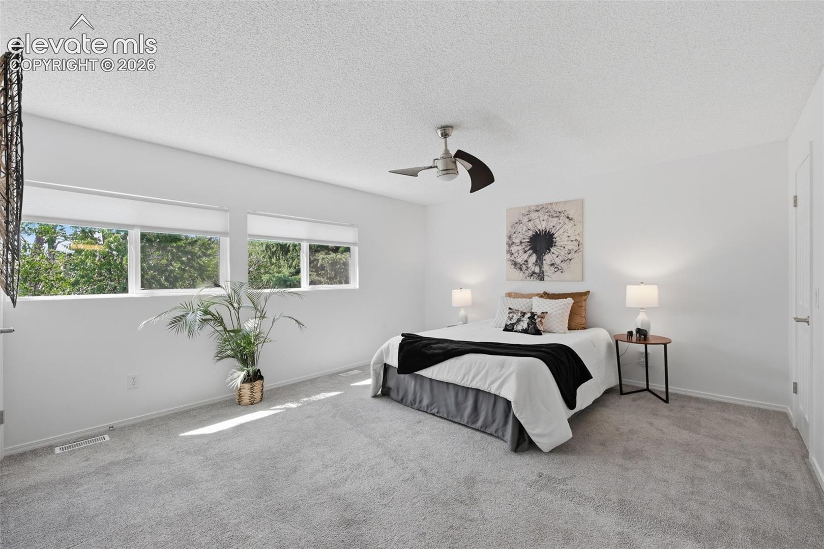 Large primary bedroom great light from windows tons of space!