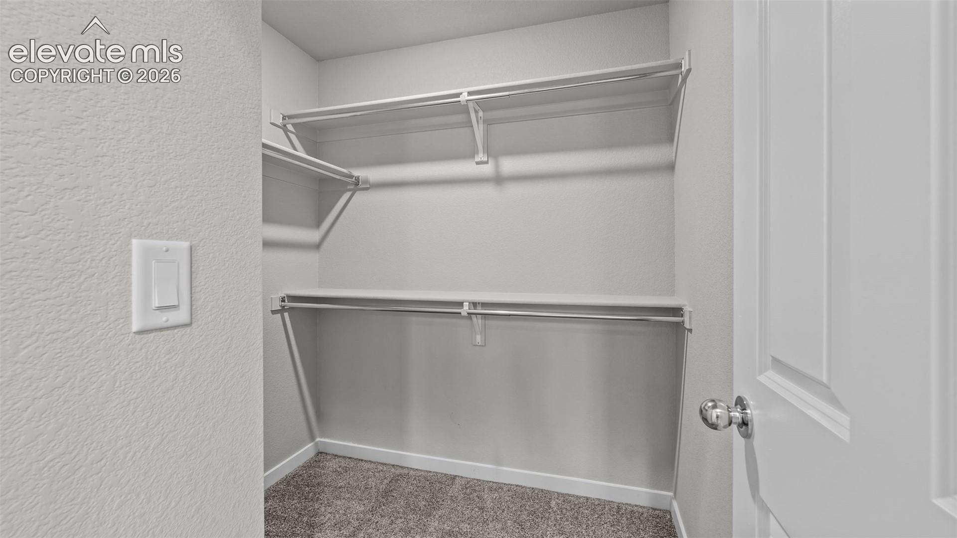 Storage area featuring dual-level shelving and integrated hanging rods, finished with carpeted flooring and a panel door
