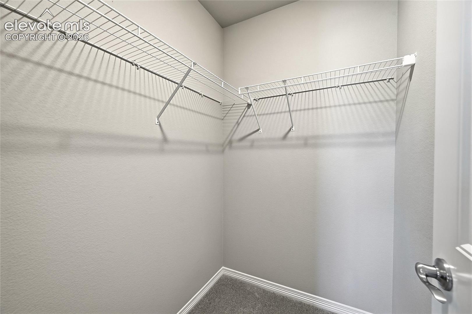 Walk-in closet featuring wire shelving, light gray walls, and gray carpet flooring