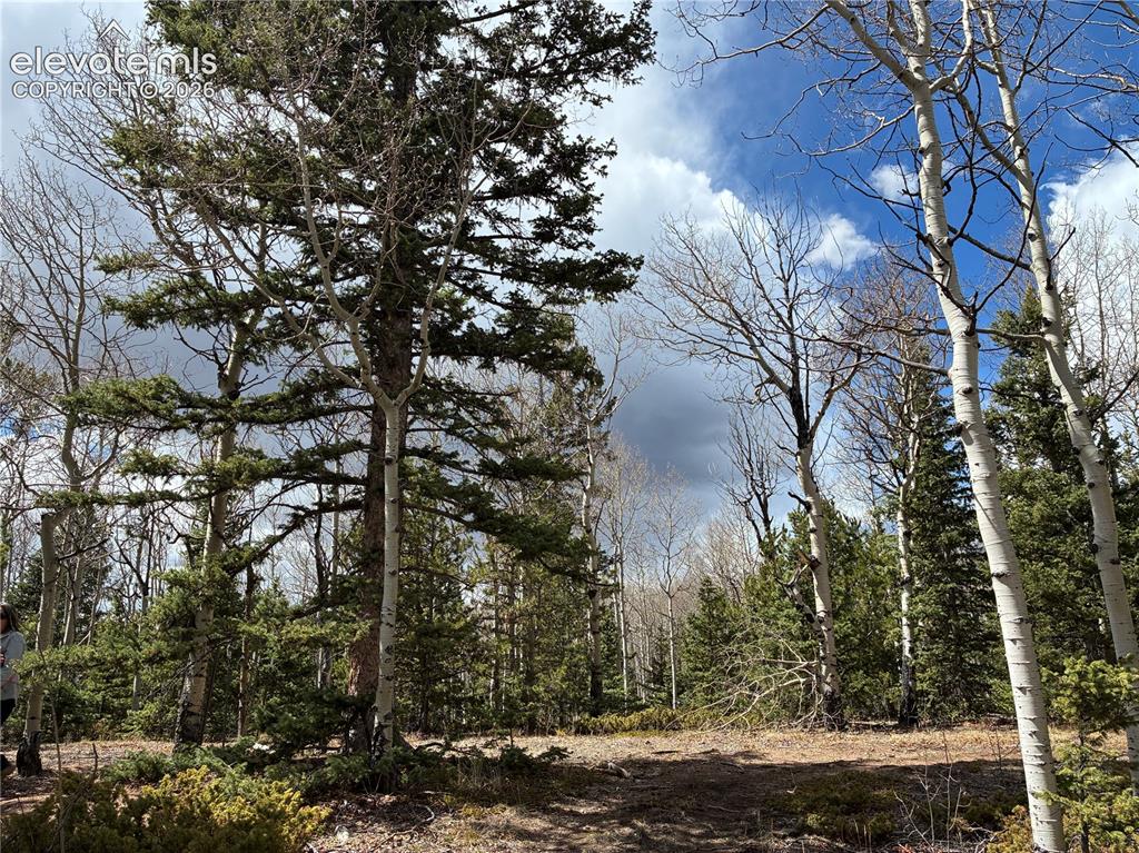 12201 S Highway 67 NA, Cripple Creek, CO 80813