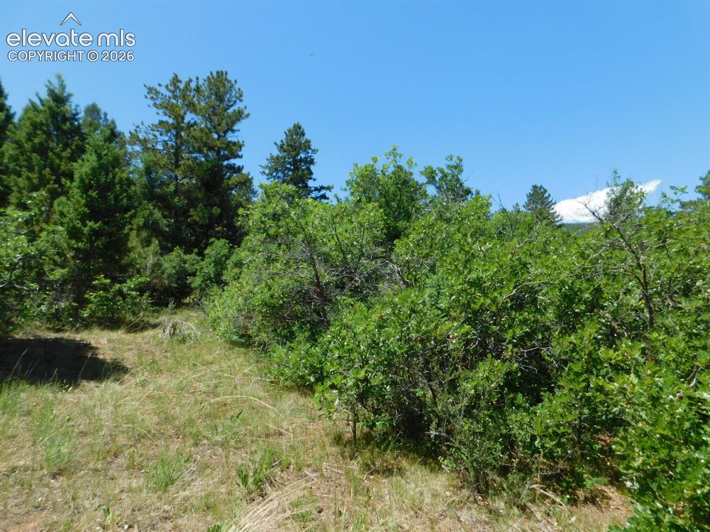 Photo 43 of 6447 Thunderbird Road, Larkspur