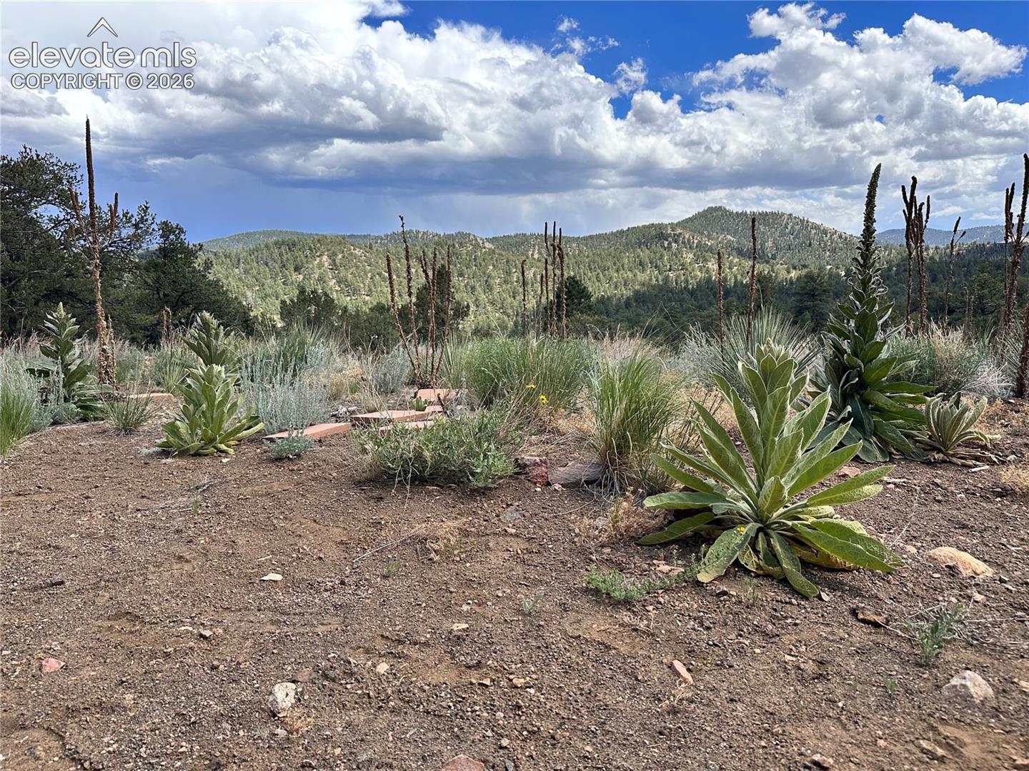 Photo 10 of 2973 Driftwood Road, Westcliffe