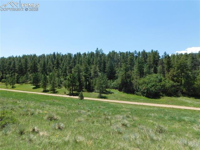 Photo 18 of 4668 Comanche Drive, Larkspur