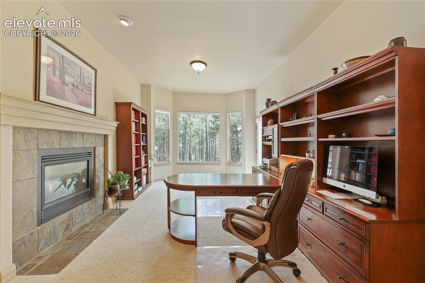 Photo 21 of 15931 Waving Branch Way, Colorado Springs