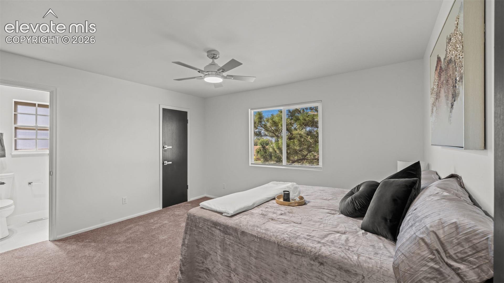 Bright bedroom featuring a large window, neutral carpet, and a ceiling fan