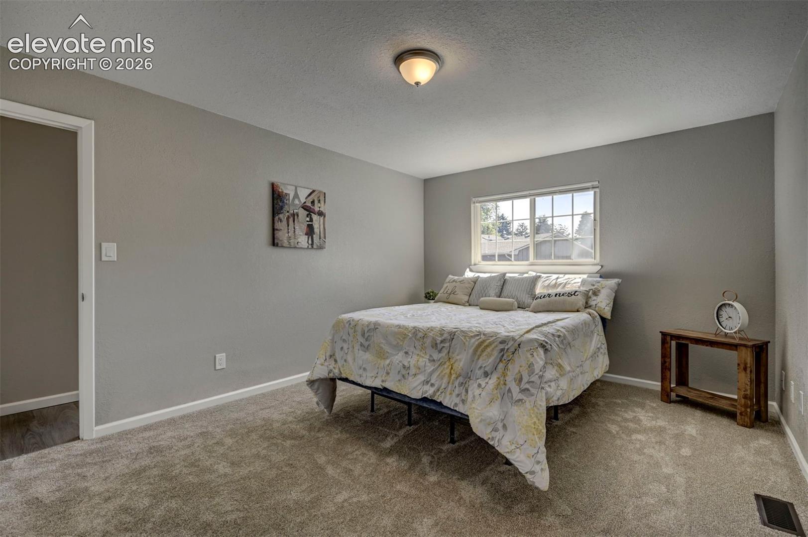 Neutral-toned interior space featuring soft wall-to-wall carpeting, a multi-pane window with natural light exposure, and a flush-mount ceiling light fixture