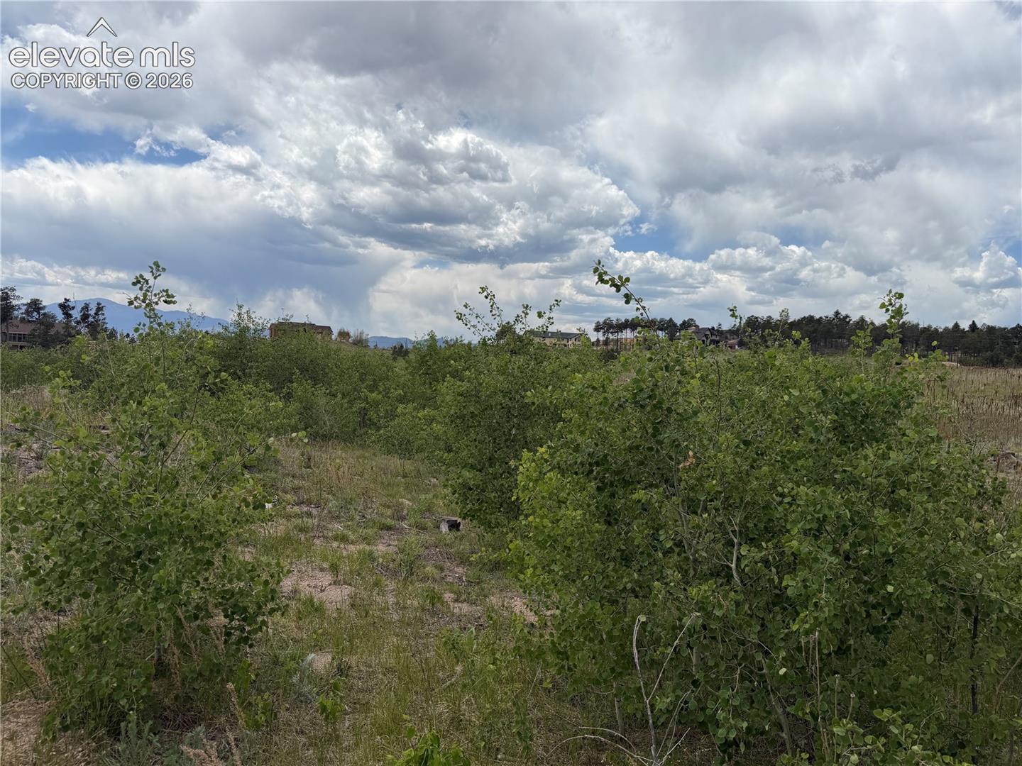 Photo 13 of 13810 Wildoak Drive, Black Forest