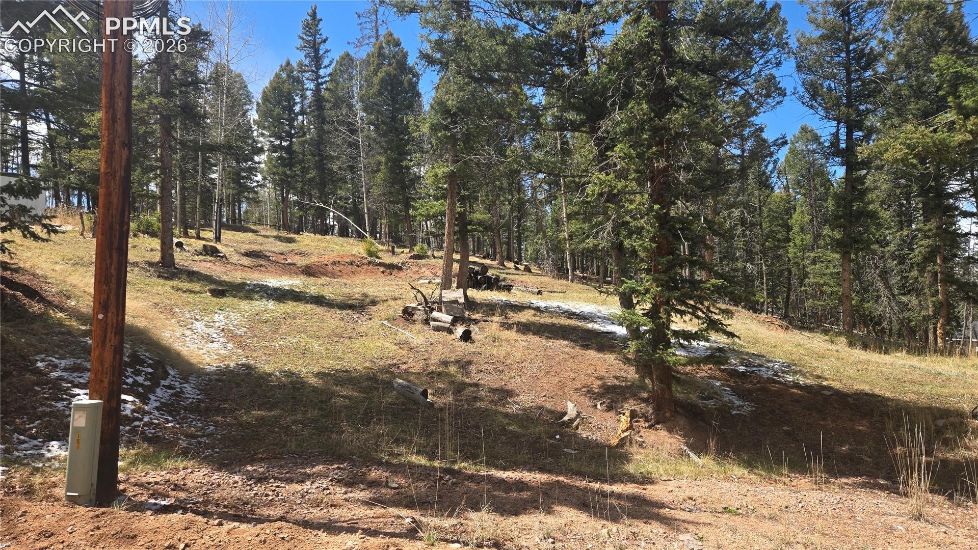 151 Mt Elbert Rd, Florissant, CO 80816