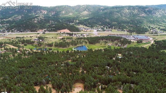 370 Summer Haven Dr, Woodland Park, CO 80863