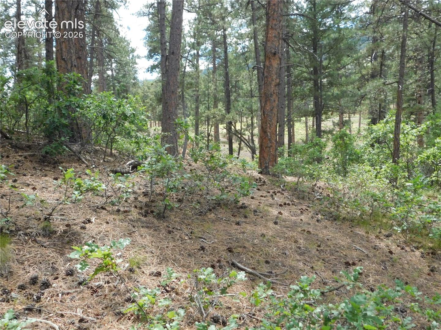 Photo 21 of 8139 Bannock Drive, Larkspur