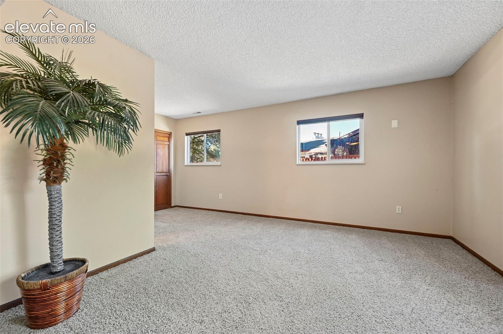 Neutral-toned interior space featuring wall-to-wall carpeting, textured ceiling finish, two double-pane windows, and a wood-finish door