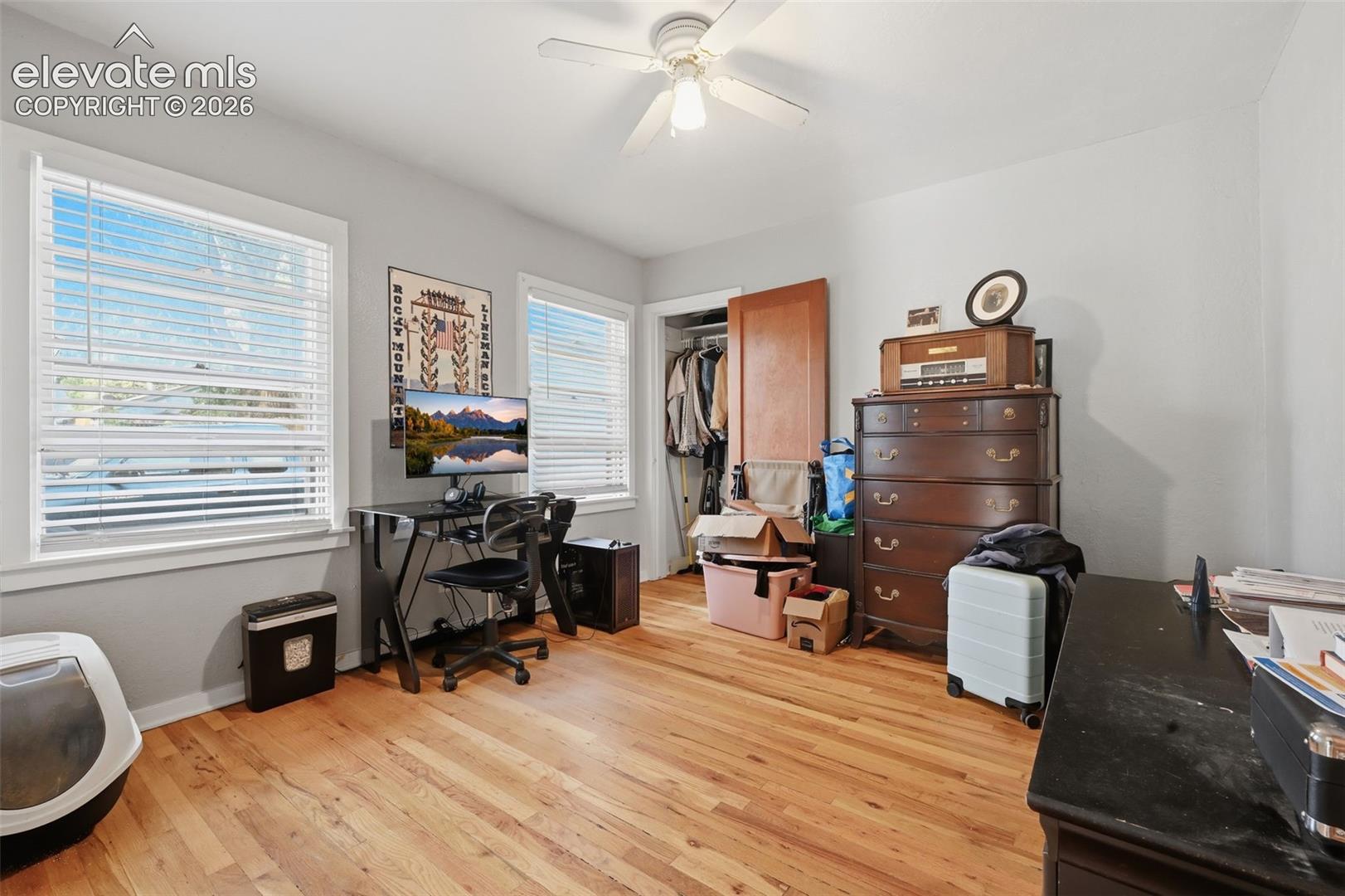 Hardwood flooring throughout, two windows with blinds, ceiling fan with light fixture, and an open closet with a wood-finish door
