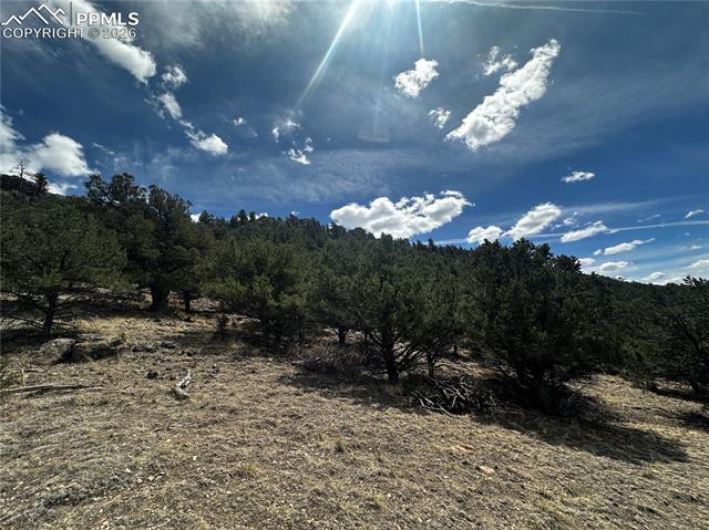 site view