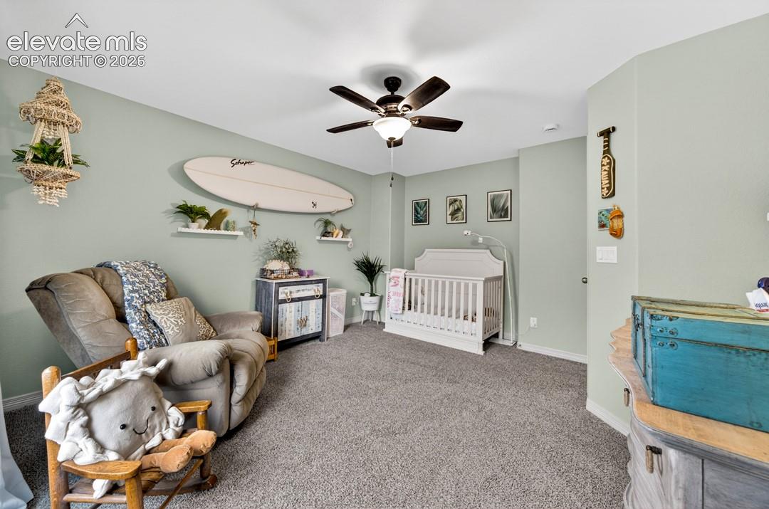 Upper level, new carpet, ceiling fan, walk-in closet