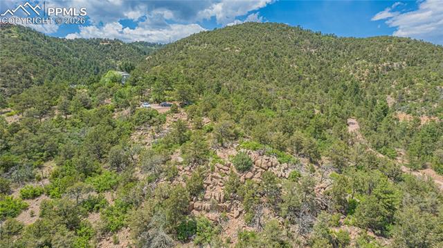 Photo 18 of 15505 S Cuerno Verde View, Colorado Springs