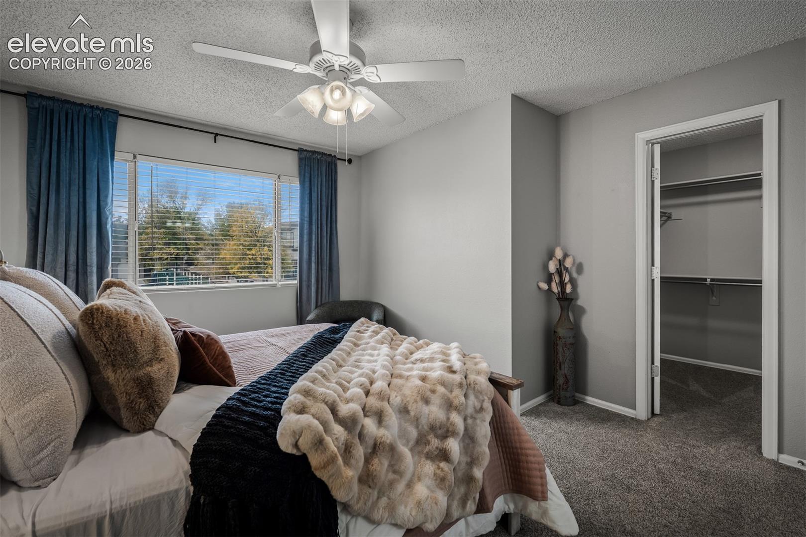 Photo 22 of 3644 Pacific Drive, Colorado Springs