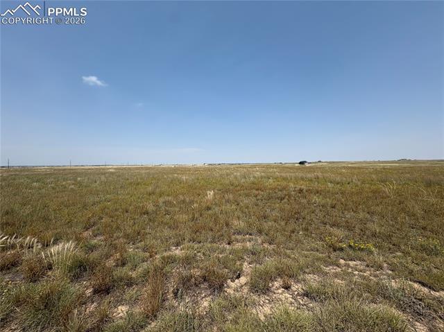 Photo 6 of 8155 Cowboy Ranch View, Falcon