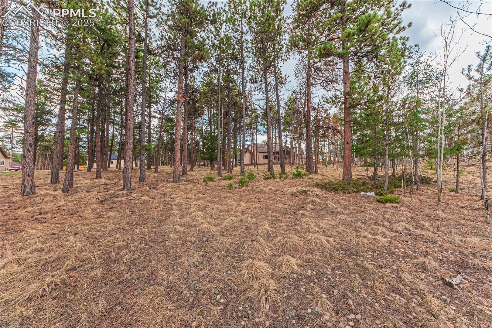 Photo 11 of 1290 Firestone Drive, Woodland Park