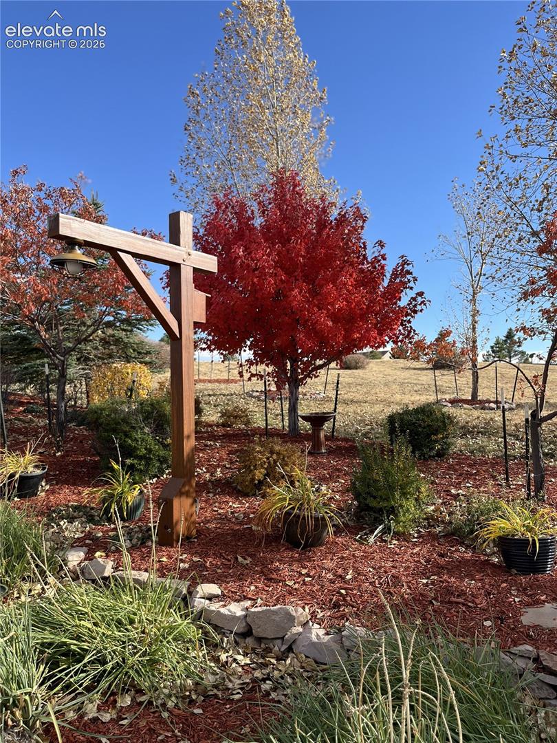 Gorgeous fall colors!