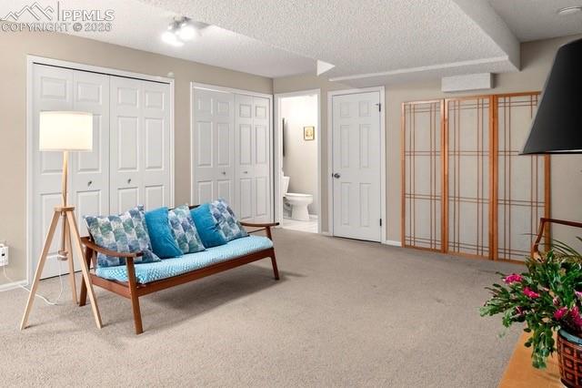 Basement living area with a private 3/4 bath, perfect for guests.