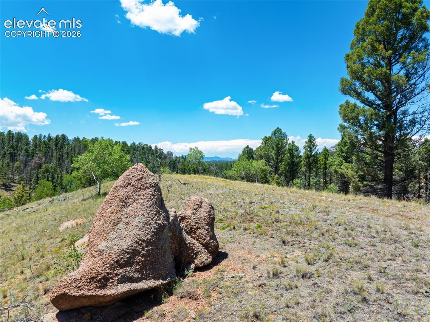 404 Morning Star Creek Trl, Florissant, CO 80816