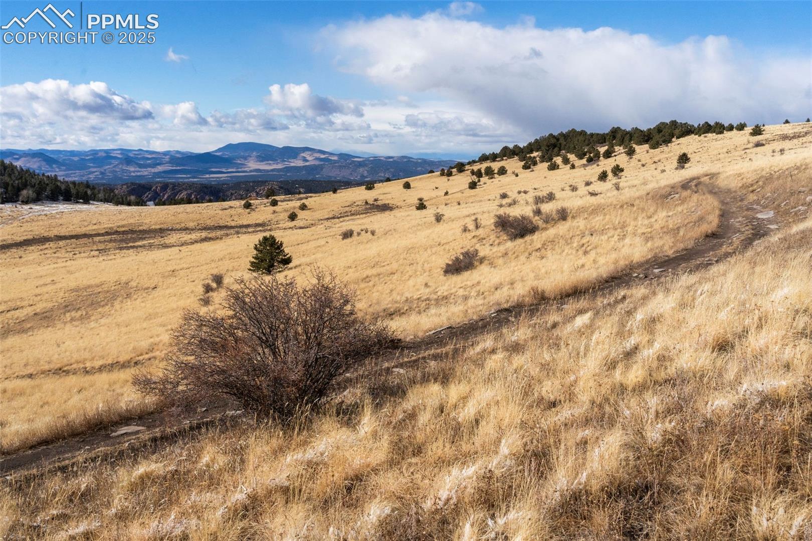 Photo 8 of Private Road, Cripple Creek