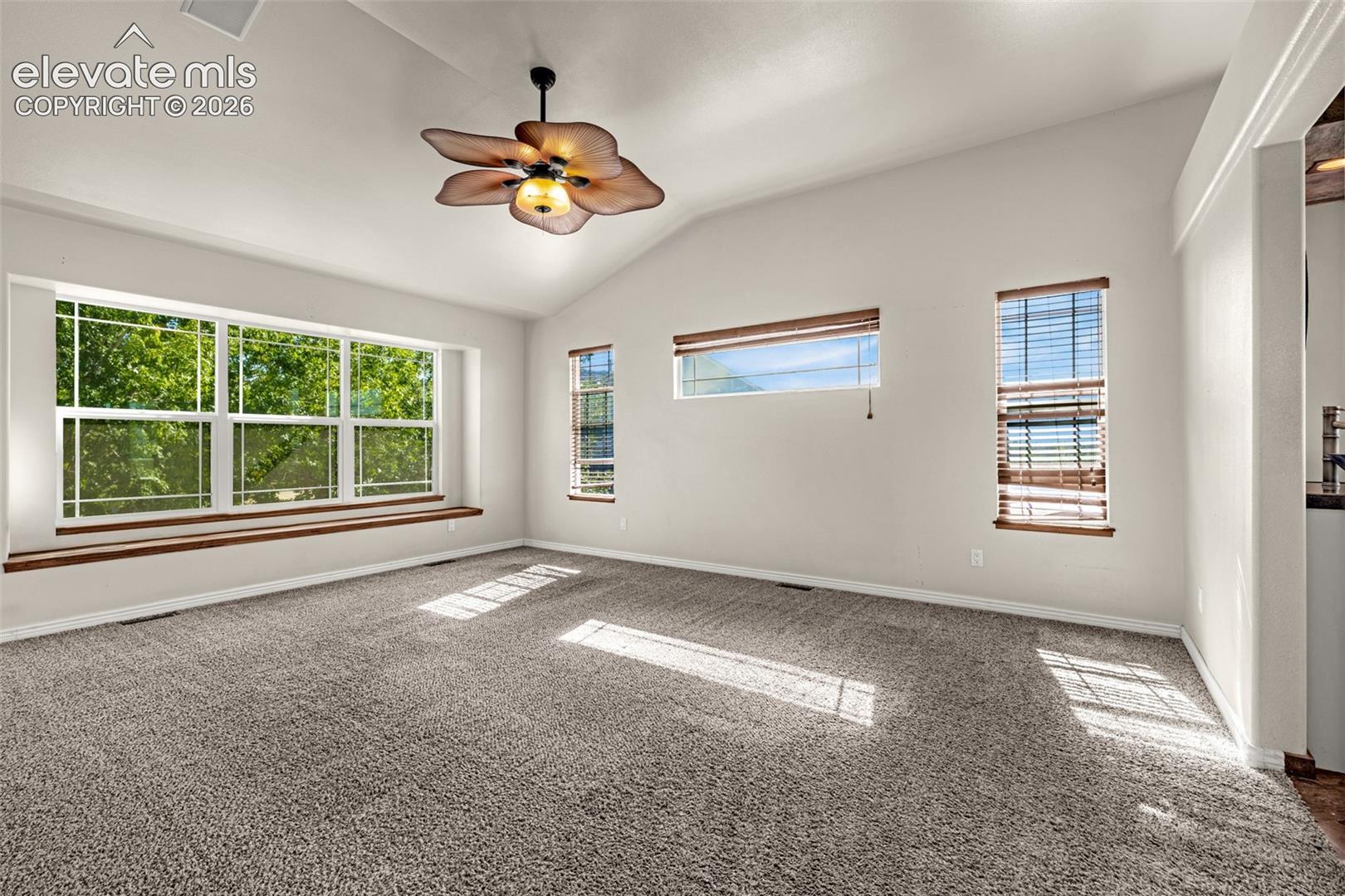 Photo 21 of 6586 Many Moon Drive, Colorado Springs