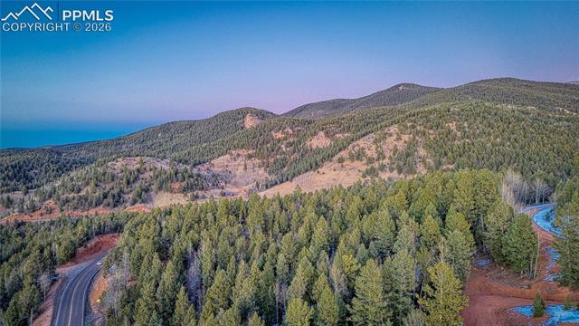 Photo 13 of 959 Calcite Drive, Divide