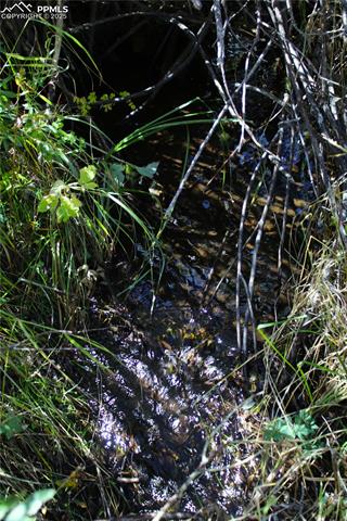 Manchester Creek