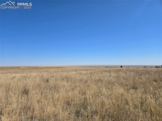 View of local wilderness featuring a rural view