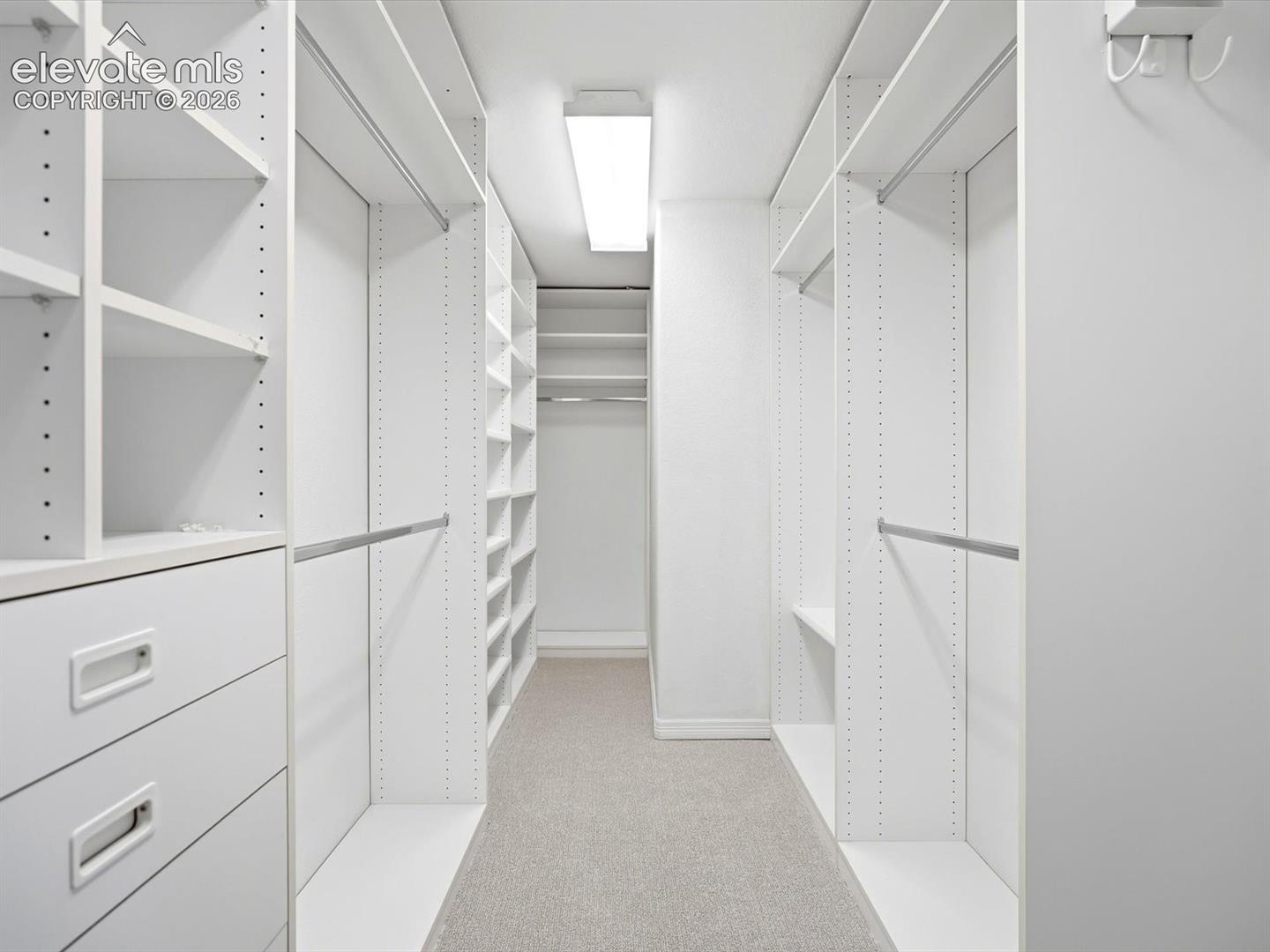 Walk-in closet featuring white custom built-in shelving, hanging rods, integrated drawer storage, and neutral wall-to-wall carpeting