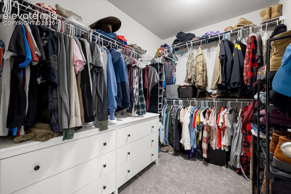 Walk-in closet featuring wire shelving, multiple hanging rods, built-in dresser storage, and carpeted flooring