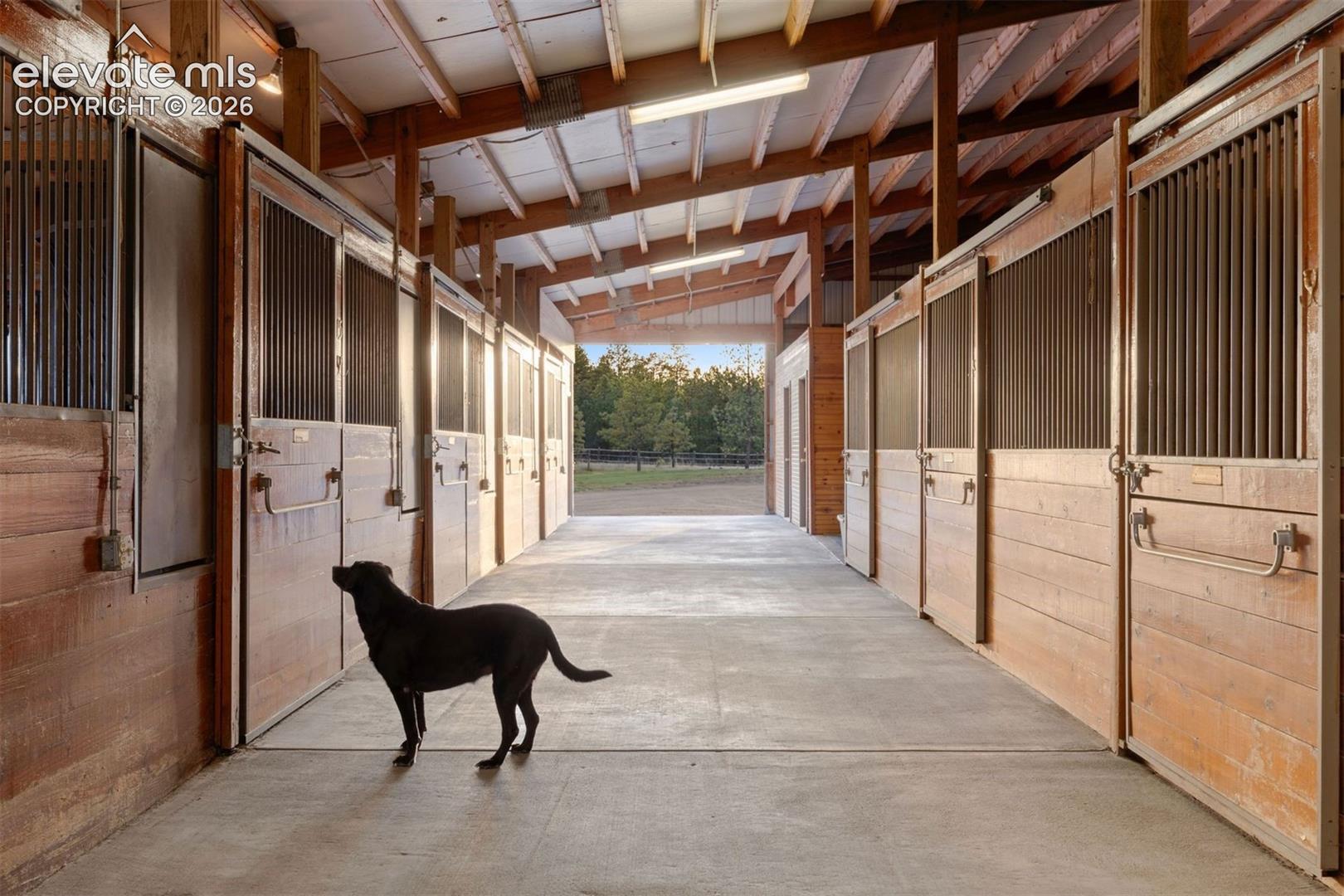 The barn features 20 stalls, 12 heated, 2 wash stalls and 3 grooming stalls, plus 3 tack rooms.