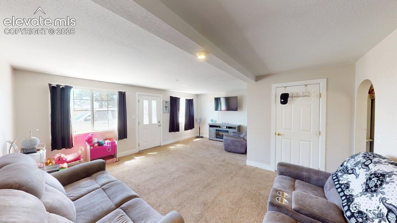 Carpeted living space with multiple windows, a white paneled door, and an arched entry