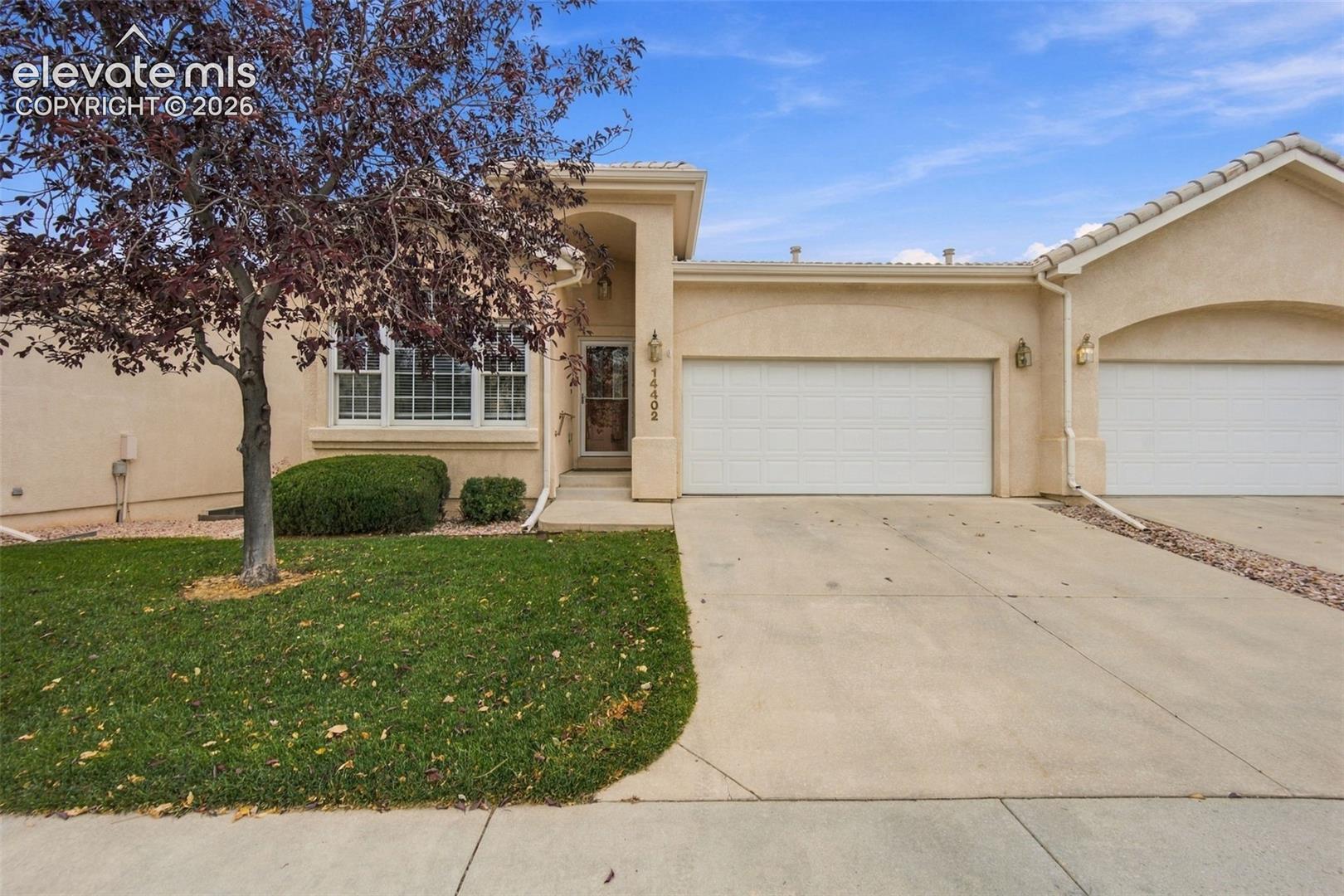 Stucco exterior featuring a dual-car garage, recessed entryway, concrete driveway, and manicured landscaping with a mature tree